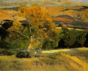 Yellow tree, The Farm - 华金·索罗利亚·巴斯蒂达